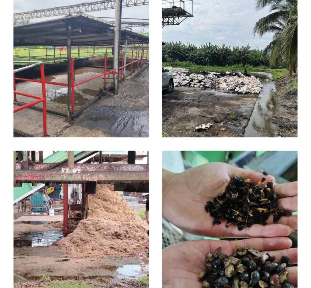 Circular economy concept: transforming palm oil waste into valuable products for a zero-waste, sustainable future in Malaysia.